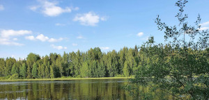 Lue kuinka suojelemme ympäristöämme Autopurkamomme suojelee ympäristöä monin eri tavoin